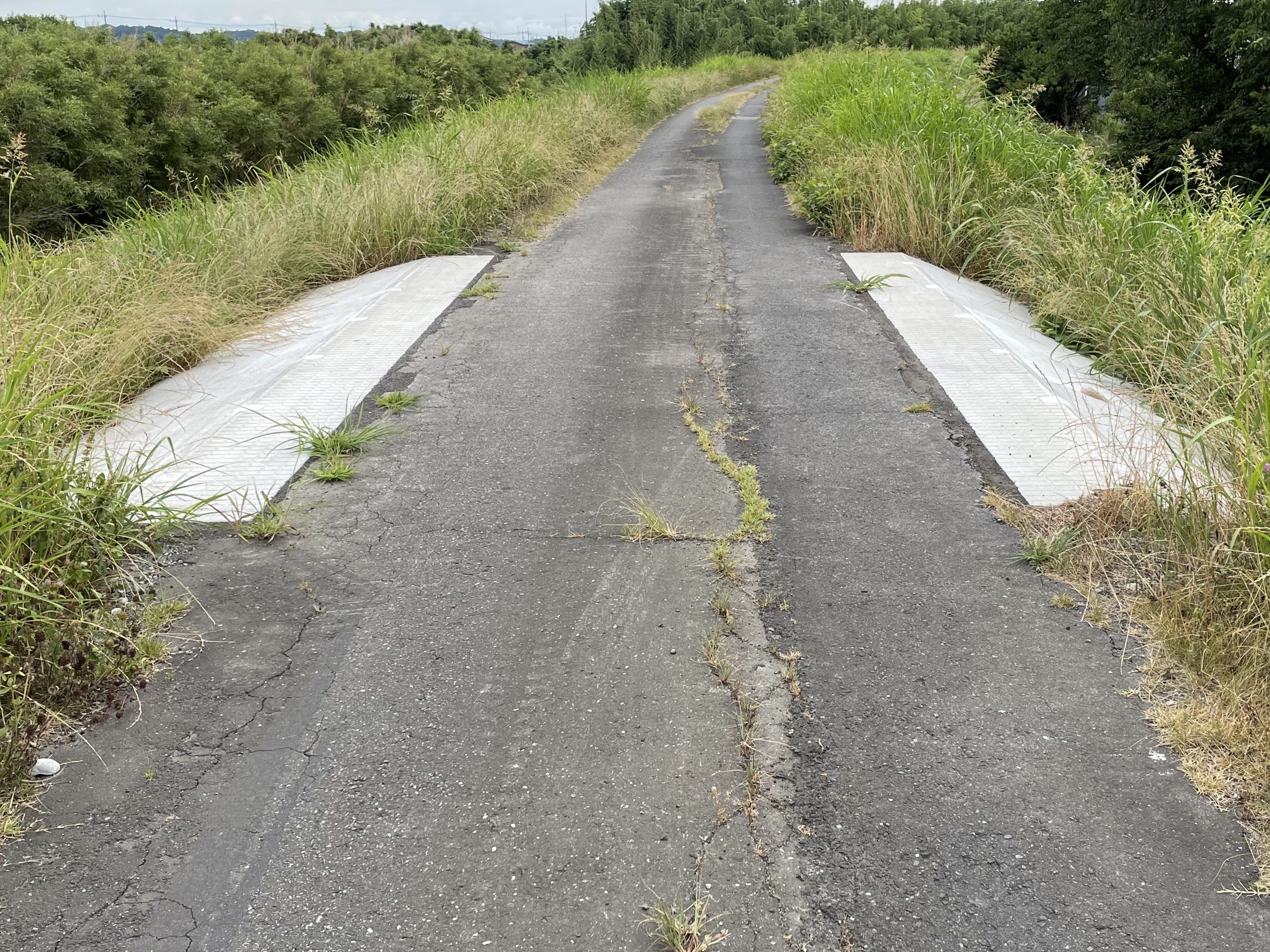 小貝川試験施工