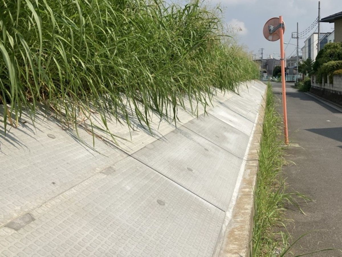 (ゼロ債務)河川改修(水辺)工事(芝川防草対策工)